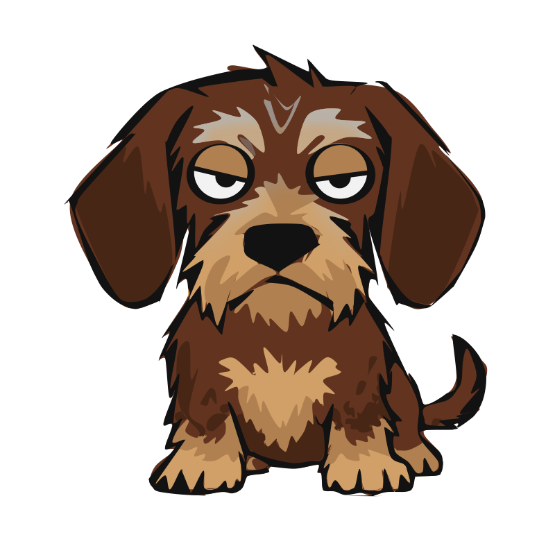 Dig, a grumpy wire-haired dachshund