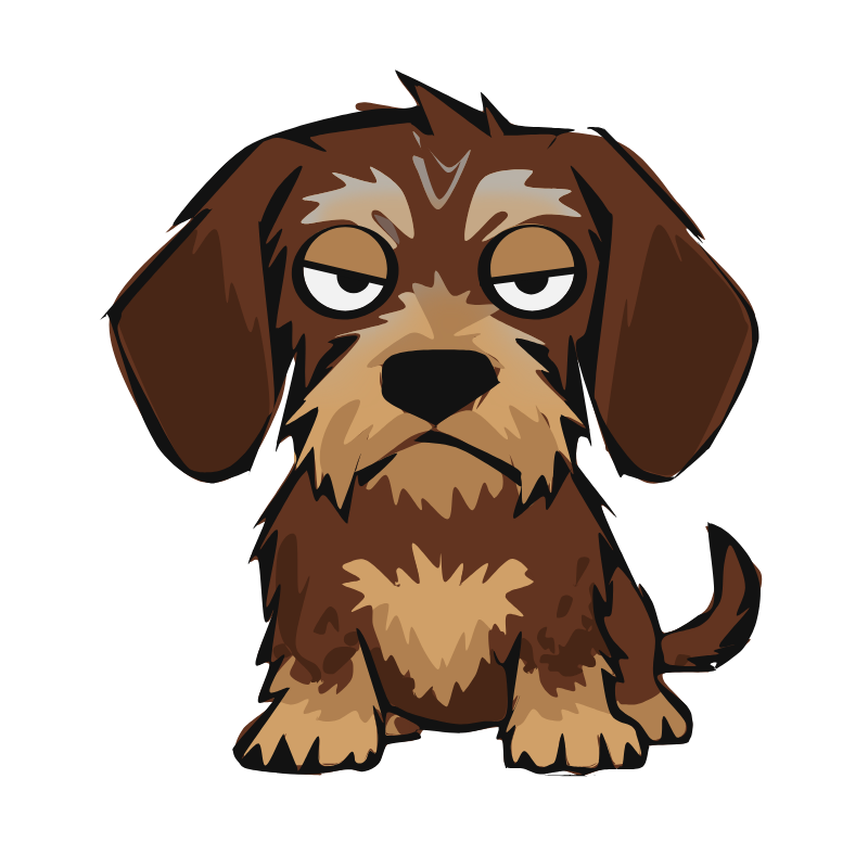Dig, a grumpy wire-haired dachshund