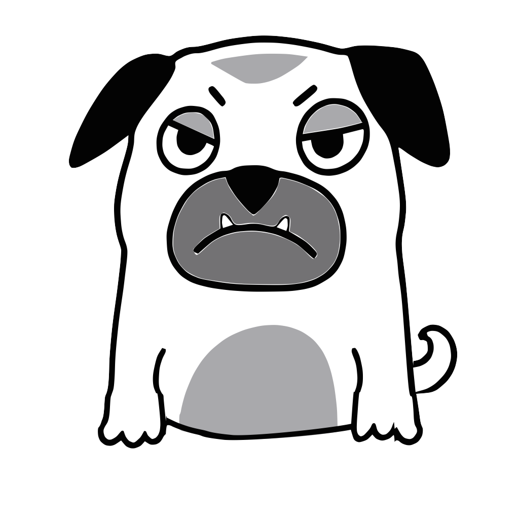 Todd, a grumpy black and white pug