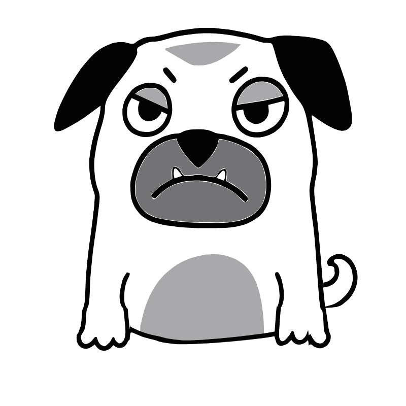 Todd, a grumpy black and white pug